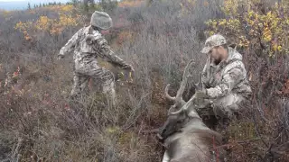 Elli Tansy's First Caribou at 291 yards just after turning 8 years old