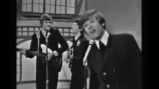 Herman's Hermits - I'm Henry The VIII En Español ( Enrique VIII )