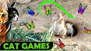 CAT GAMES - Catching Mouse! Video for Cats to Watch Mice (Cat TV for Cats to Watch)