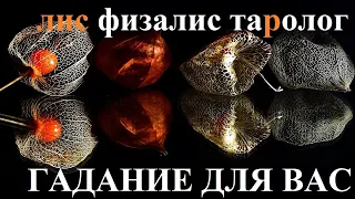 21 МАЯ ГОРОСКОП ТАРО