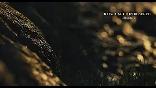 Ritz-Carlton Reserve - Brand Video