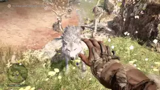 Farcry primal-Taming the white wolf