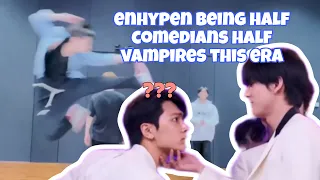 ENHYPEN BEING HALF VAMPIRES HALF COMEDIANS THIS ERA