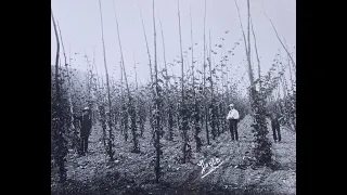 19th Century Farm Life in the Bristol Valley