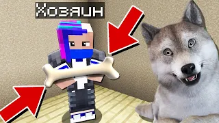 БРОДЯЧИЙ ПЁС НАШЕЛ ХОЗЯИНА В МАЙНКРАФТ! ЖИЗНЬ ЖИВОТНЫХ В MINECRAFT!