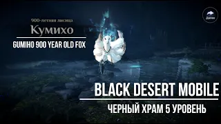 Black Desert Mobile. Черный храм. 900-летняя лисица Кумихо 5 уровень. (Gumiho 5 lvl)