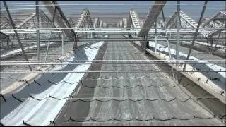 Retractable roof houses with retractable insect net for young plant production