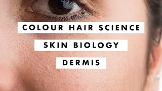 Colour Hair Science - Skin Biology - Dermis