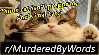 r/MurderedByWords -  "That's a FAT Cat"