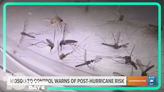 Mosquito control warns of post-hurricane risk