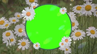 Frame floral green screen. Хромакей "Цветочные рамки".Green screen effects.