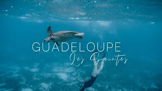 LES SAINTES : TORTUES en GUADELOUPE - cinematic travel film 4K