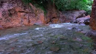 Peaceful River, Calming River Sound, Calm Forest, ASMR