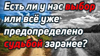 Есть ли у нас выбор или всё уже предопределено судьбой заранее