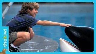 “Free Willy” the heartbreaking story of the freeing of an orca whale