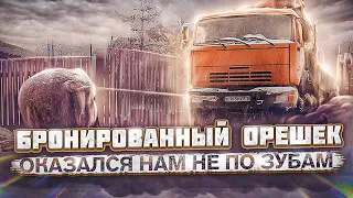 Эхо войны. Бронированный орешек оказался нам не по зубам.