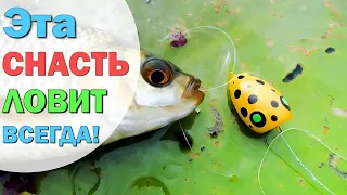 Уловистая снасть которая не оставит вас без рыбы! Уникальная снасть которая ловит всегда и везде.