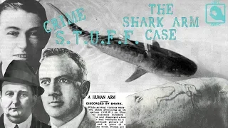 The Shark Arm Case - THE INVINCIBLE MAN