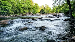 Harmonie Fluviale : Musique Douce au Bord d'un Cours d'Eau