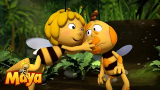 Willy is back - Maya the bee🍯🐝🍯