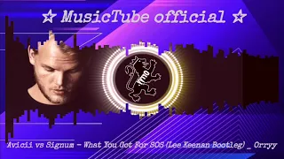 Avicii vs Signum   What You Got For SOS Lee Keenan Bootleg   Orryy visualization