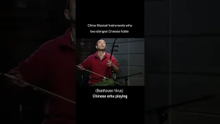 (Beethoven Virus) Chinese erhu playing