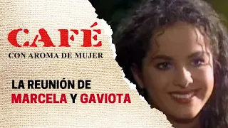 Marcela habla con Gaviota de Sebastián | Café, con aroma de mujer 1994