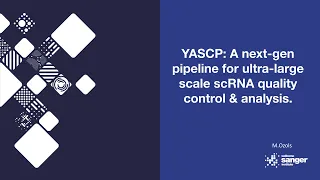 YASCP: Next-Gen Pipeline for Ultra-Large Scale scRNA Analysis