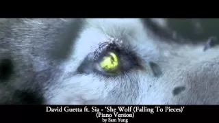 'She Wolf (Falling To Pieces)' - David Guetta ft. Sia - (Piano Cover) by Sam Yung