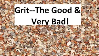 Grit for Racing Pigeons..The good and the bad.