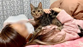 子猫がお腹の上から離れなくてなかなか寝かせてもらえませんw