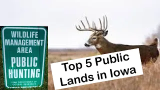 Top 5 Iowa Public Land Deer Hunting