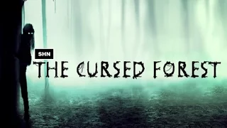 The Cursed Forest: Early Access Full HD 1080p/60fps Gameplay No Commentary