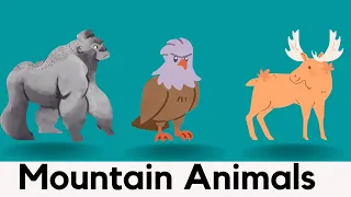 Learn 10 Mountain Animals Names With Pictures  | Easy Spelling Words