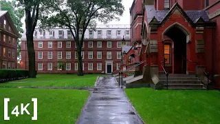 Walking in the Rain 4K - Harvard University - 3D Binaural Audio - ASMR