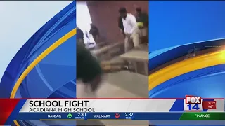 School Fight