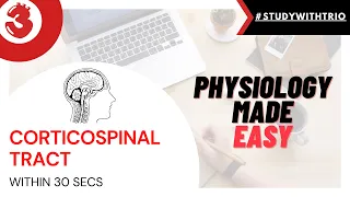 CORTICOSPINAL TRACT | The MBBS Trio | Easy to Learn #StudywithTrio