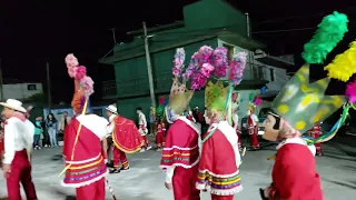 Procesión de San Isidro Labrador en la primera noche de Velaciones en Landero y Coss Veracruz