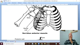 Musculo-skeletal Module I in Arabic 43 ( Anatomy of Axilla ) , by Dr. Wahdan 2022