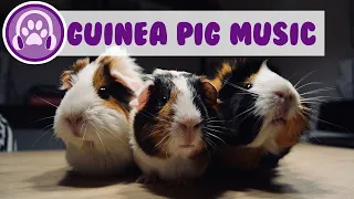 3 Hour Music Video for Guinea Pigs - Natural Stress and Anxiety Relief!