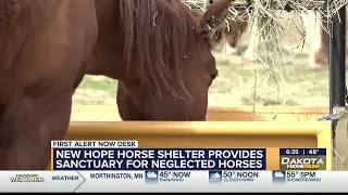 New Hope Horse Shelter, Crooks, South Dakota