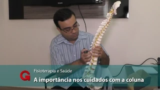 Quiropraxia, tratamentos e prevenção de disfunções na coluna vertebral