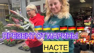 ТУНЕЯДКИ ОПЯТЬ УЕХАЛИ , МАРИНА ПОДАРИЛА НАСТЕ ЦВЕТЫ , НАШЛИ ВКУСНУЮ СЕЛЁДКУ в Германии