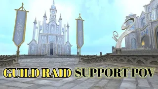 Guild Raid Support POV | Toram Online