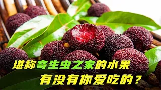 盘点5种寄生虫最多的水果，看看有没有你爱吃的