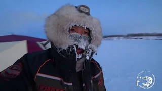 СИГ в этот день клевал изумительно! Якутия Yakutia