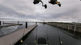 Port macdonnell shark fishing