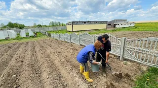 Чем мы занимаемся в праздник? Поехали в гости а нас заставили работать! Жизнь простых людей!