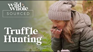 Truffle Hunting | Wild + Whole Sourced