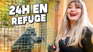 ON PASSE 24 H DANS UN REFUGE ( C'est fou !! )